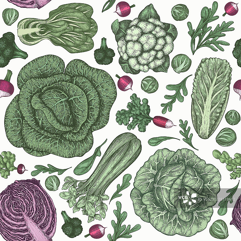 手绘素描蔬菜有机新鲜食品图片素材