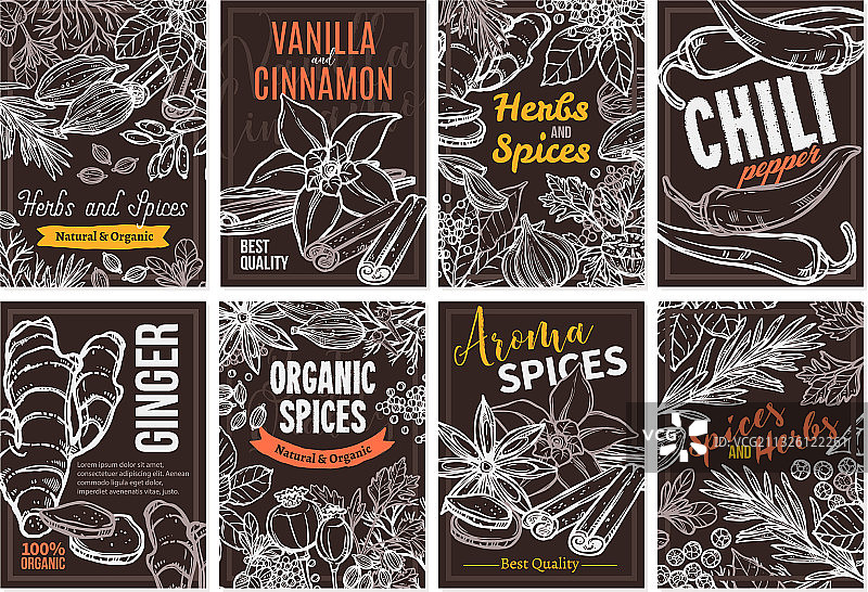 香草和香料设计模板草图图片素材