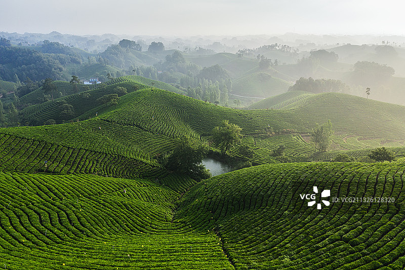 河南信阳茶山自然风光图片素材