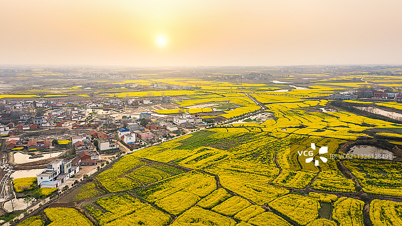 信阳光山仙居油菜花海图片素材