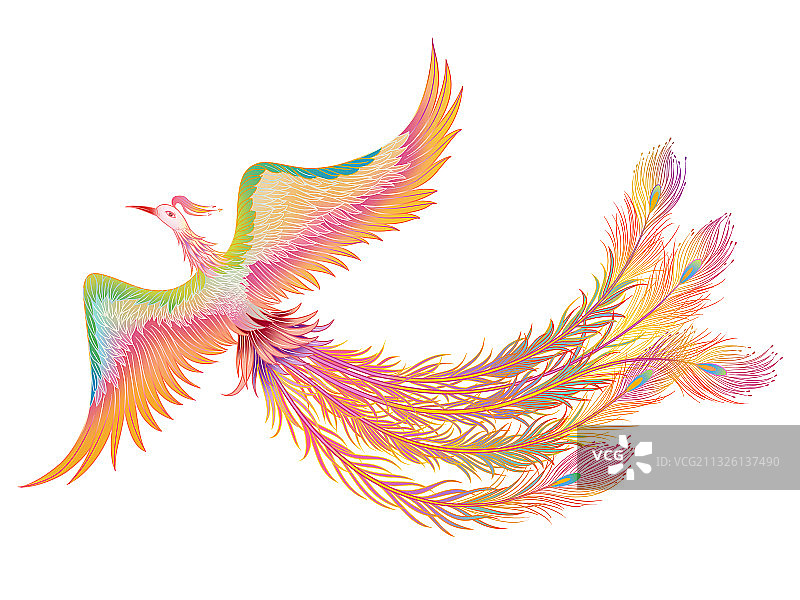 龙凤呈祥牡丹结婚潮图插画国案元素图片素材