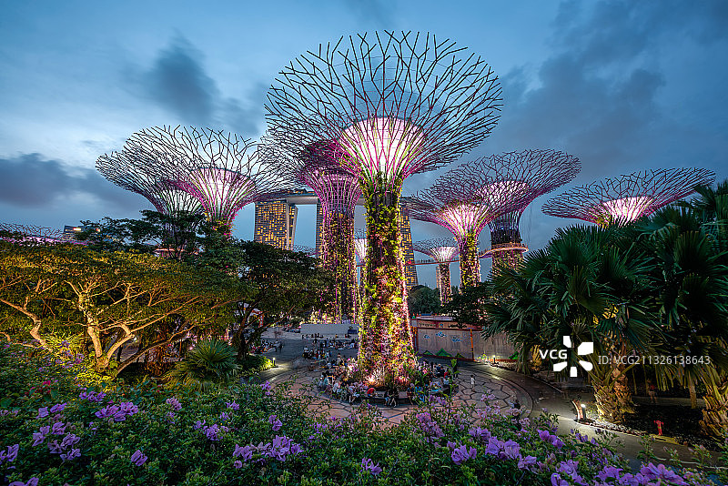 超级树图片素材