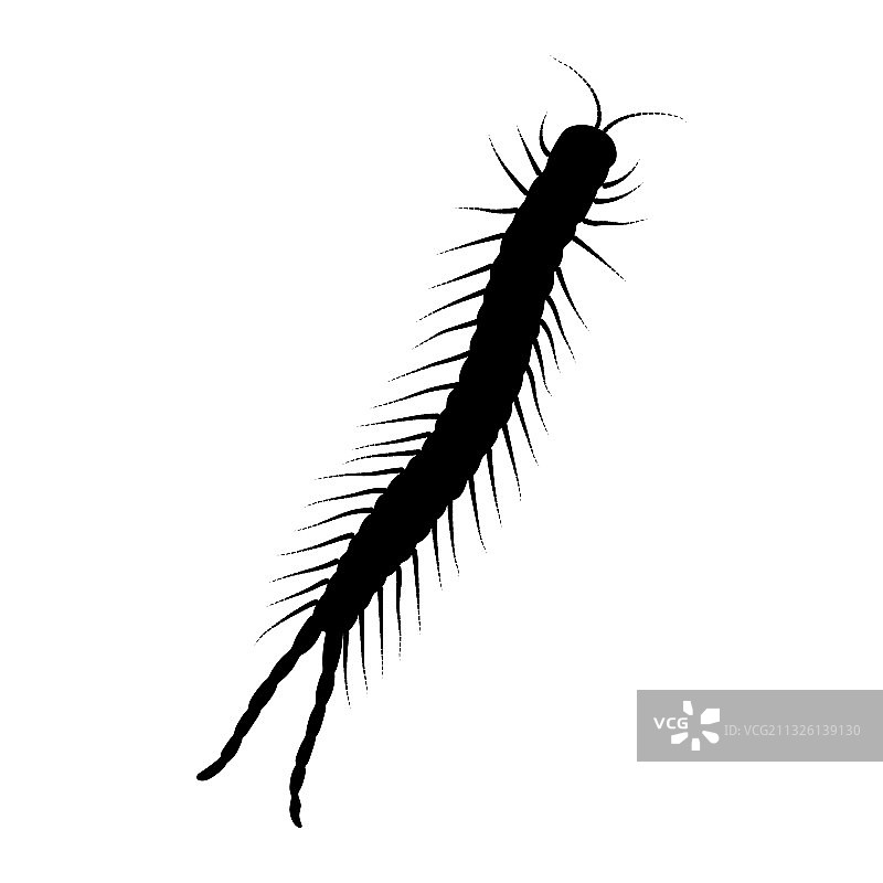 蜈蚣独立剪影图片素材