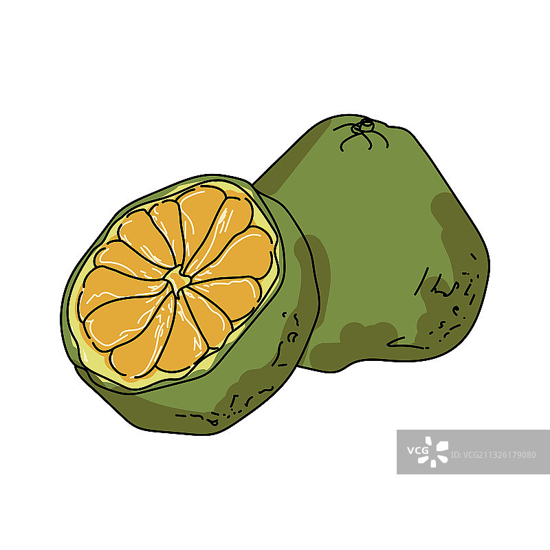 牙买加丑橘绿色异国情调柑橘多汁水果图片素材