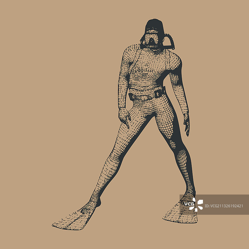 跳水运动的概念图片素材