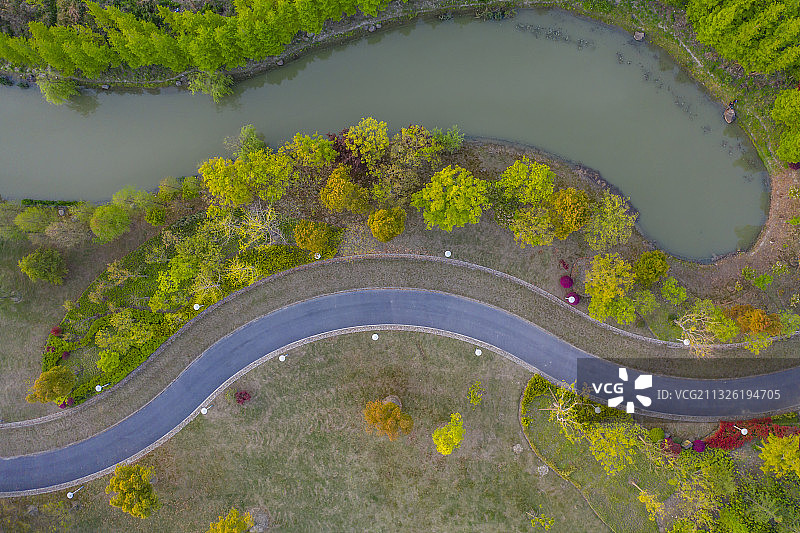闵行滨江湿地公园图片素材