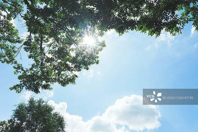 盛夏的天空图片素材
