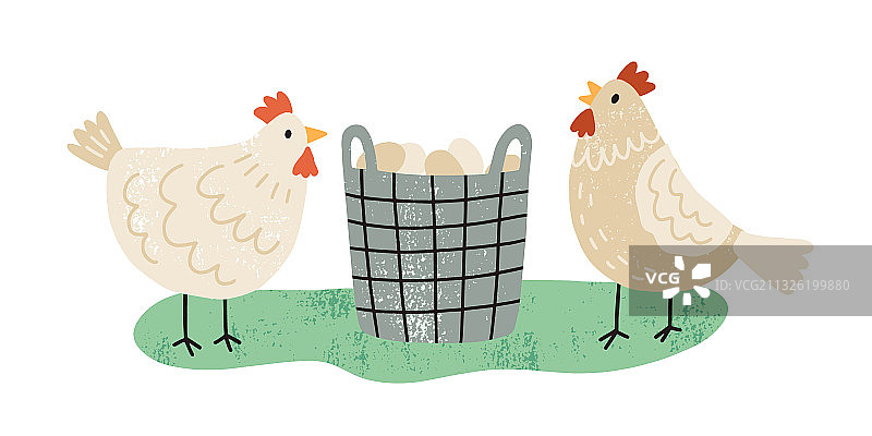 两只母鸡和装满有机鸡蛋的柳条筐图片素材