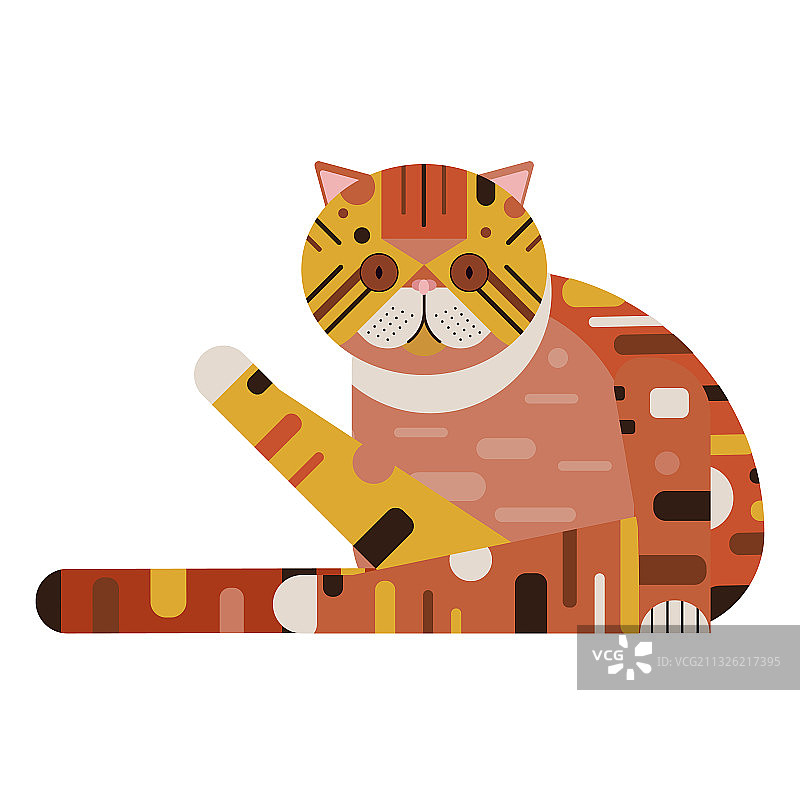 扁平风格的异国短毛波斯猫图片素材