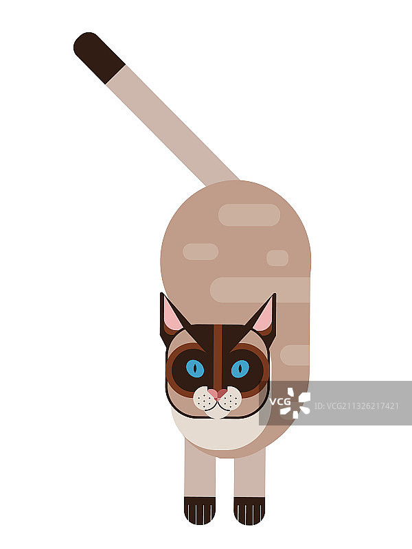 扁平风格几何暹罗猫图片素材