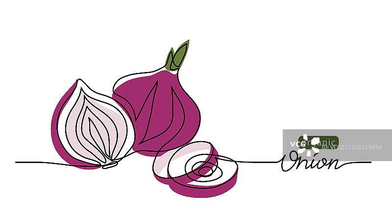 红色甜洋葱素描图片素材