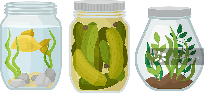 内部装有不同物体的玻璃罐图片素材