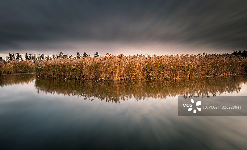 上海市金山区鹦鹉洲湿地公园晚霞图片素材