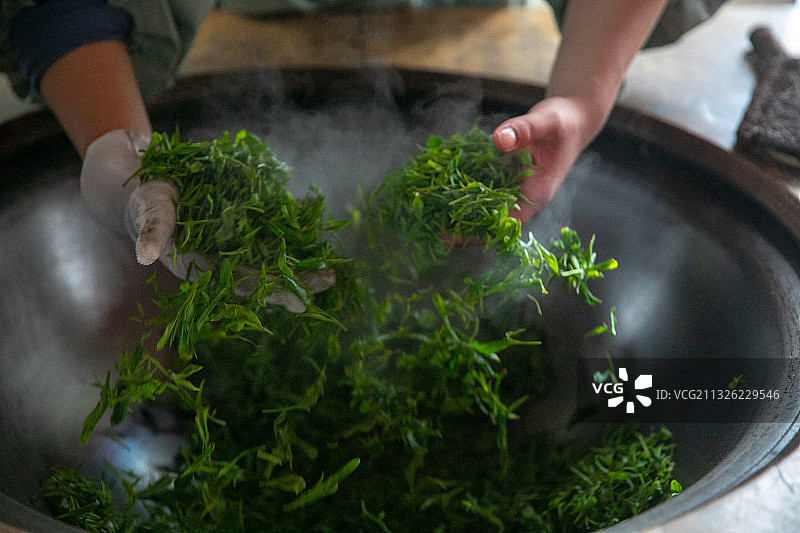 炒茶叶图片素材