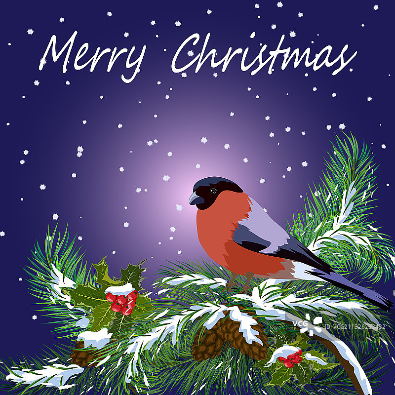 圣诞树枝与小鸟图片素材