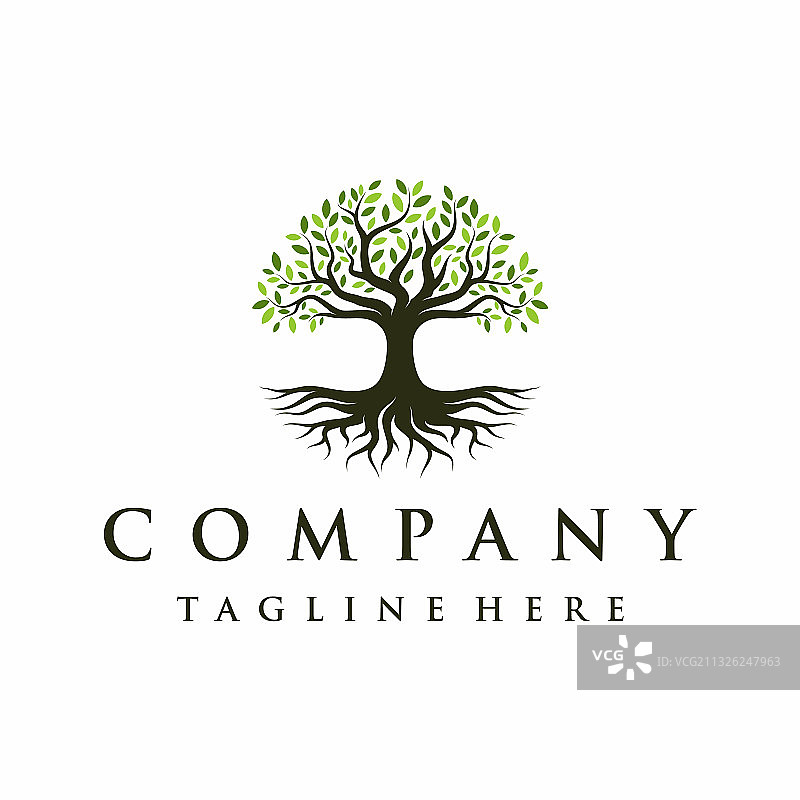 抽象橡树榕树logo设计图片素材