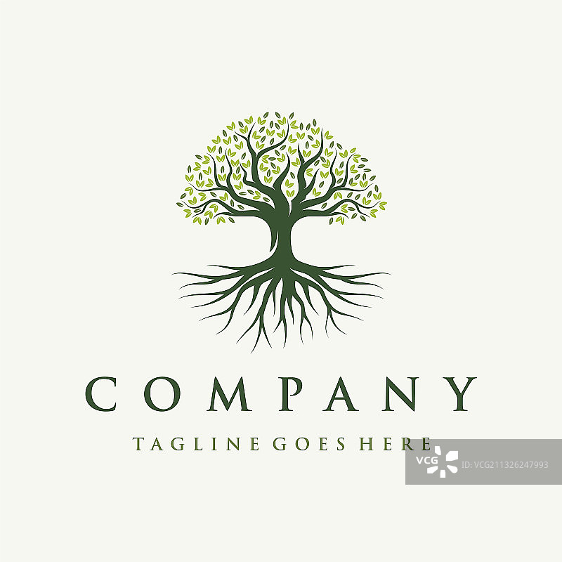 抽象橡树榕树logo设计图片素材