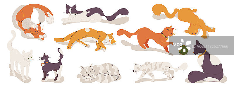 各种玩耍、睡觉和放松的猫图片素材