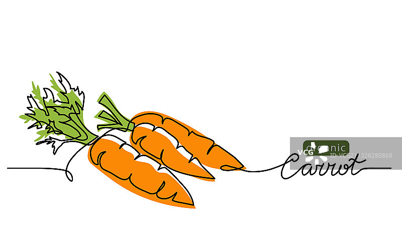 胡萝卜背景线条图片素材