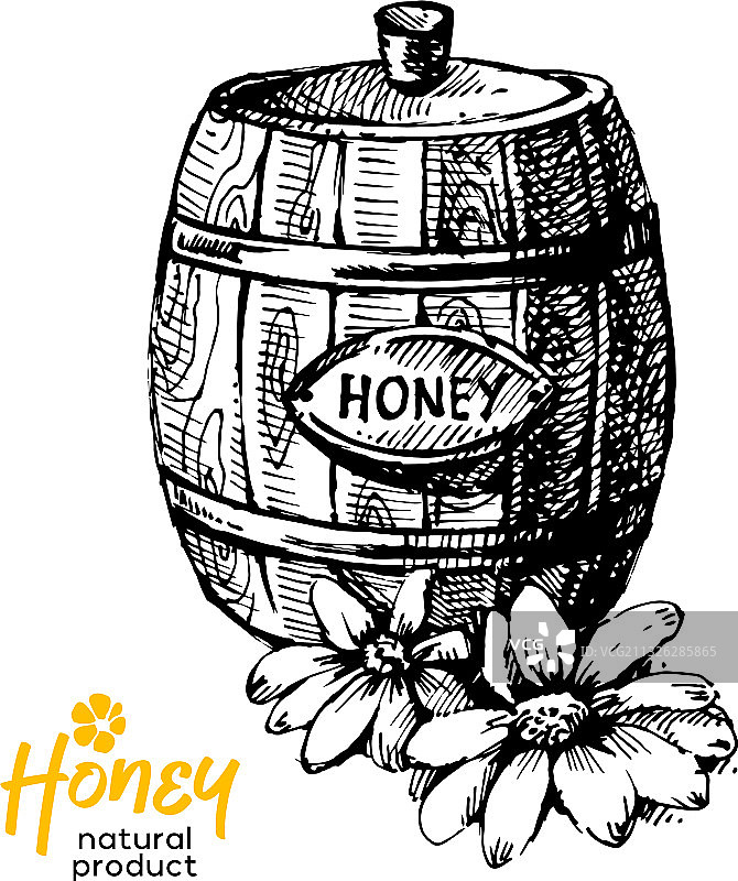 手绘蜂蜜背景复古素描图片素材