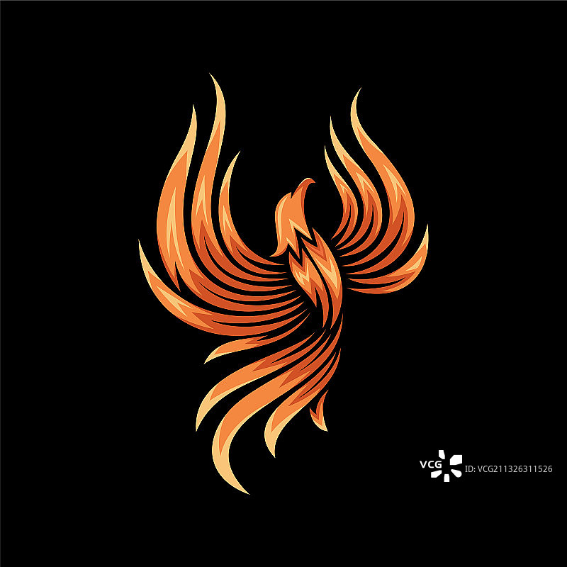 现代火焰凤凰标志设计模板图片素材