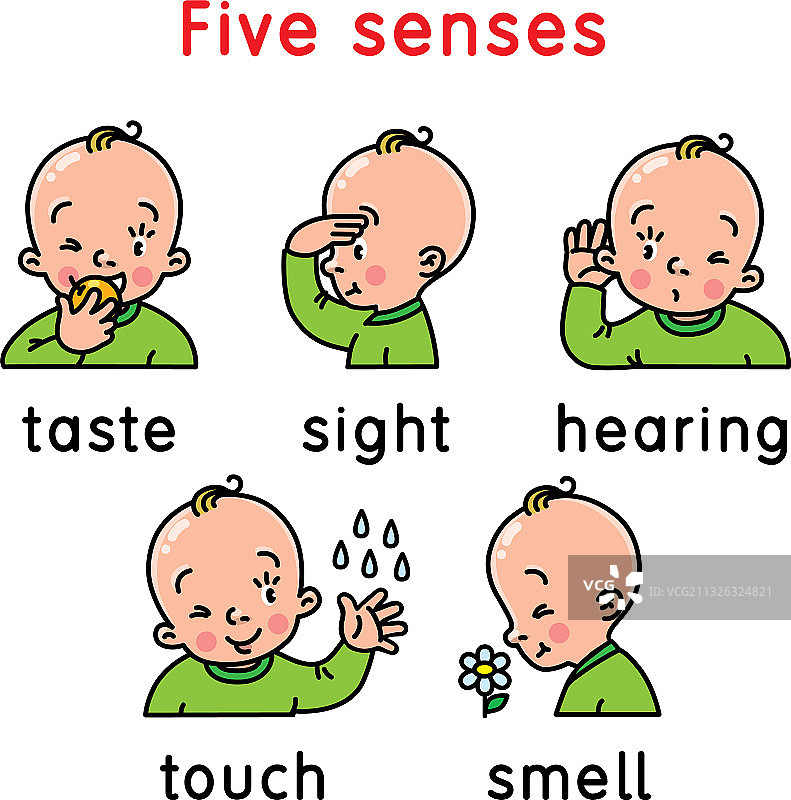 五感图标：触觉、味觉、听觉、视觉、嗅觉图片素材