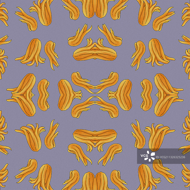 植物水果佛手插图素材壁纸插画图片素材