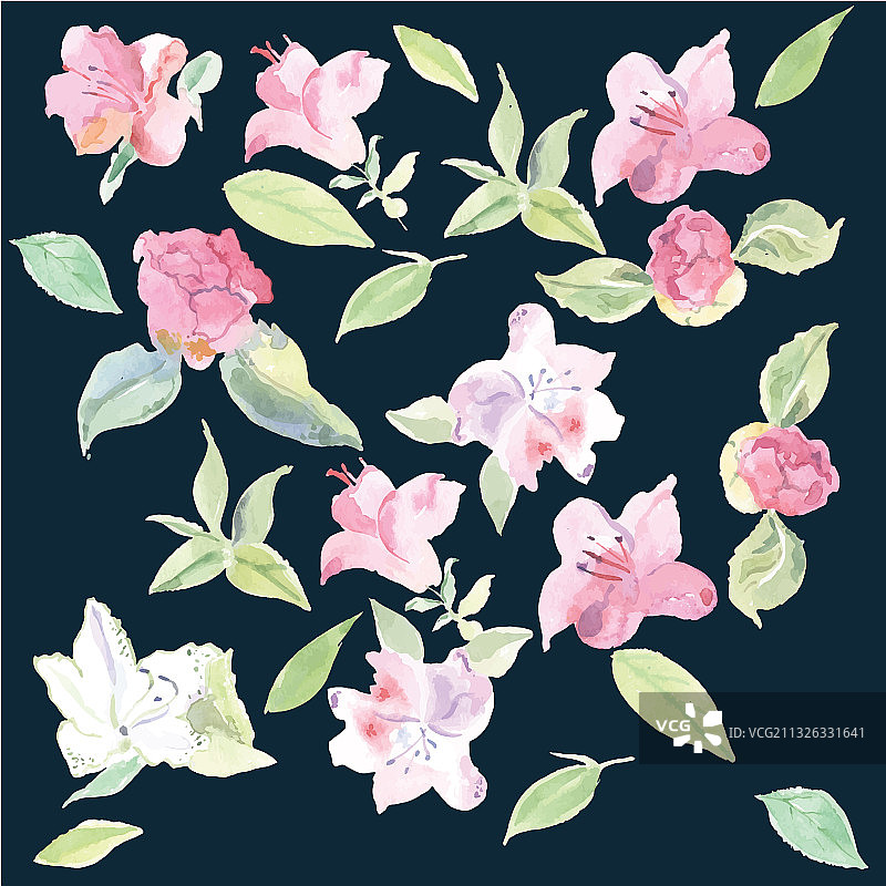 无缝山茶花图案图片素材