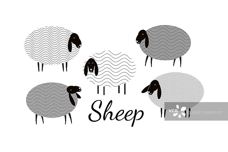 绵羊合集图片素材