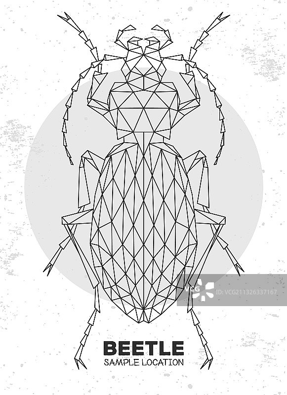 抽象多边形三角形步行甲虫图片素材