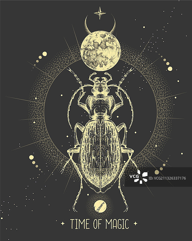 带有月亮和步行虫的巫术卡片图片素材