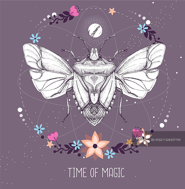 占星背景上的盾虫卡片图片素材