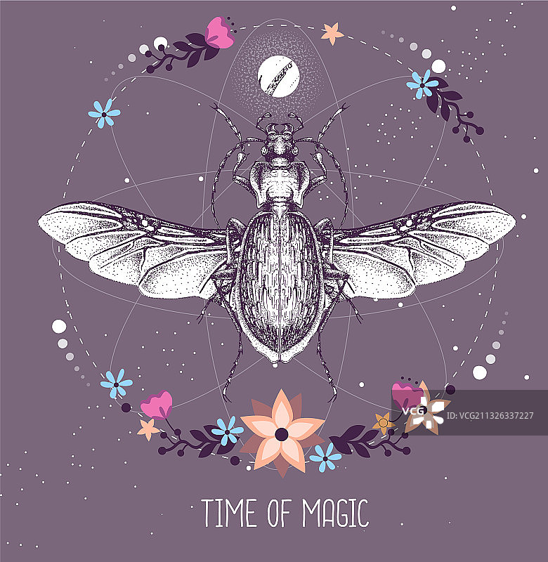 以金龟子为主题的女巫塔罗牌图片素材