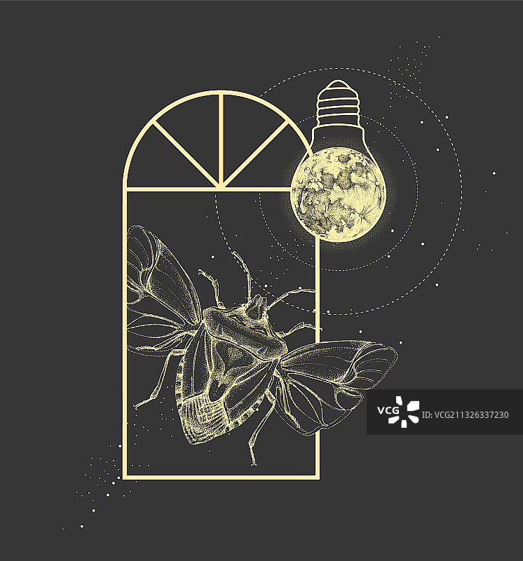 带盾椿象和满月的窗户轮廓图片素材