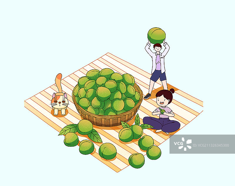 摘青梅插画图片素材