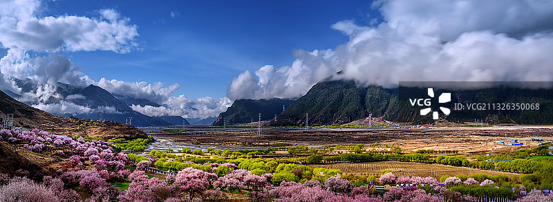 波密桃花沟与桃花村图片素材