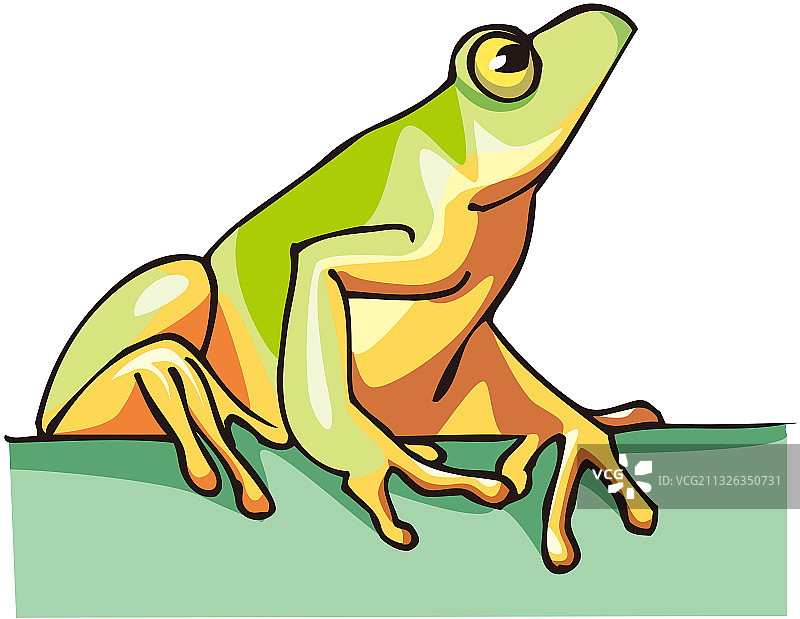 卡通青蛙图片素材