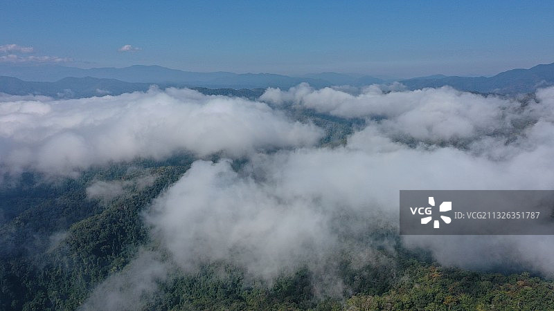 云海原始森林早上版纳图片素材