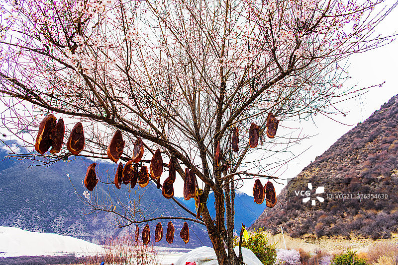 桃花沟藏香猪腊肉图片素材