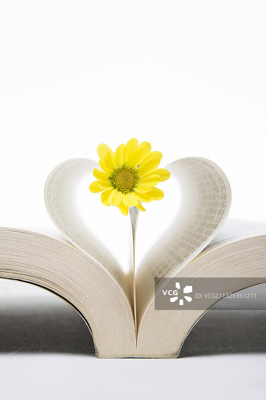 花与书图片素材