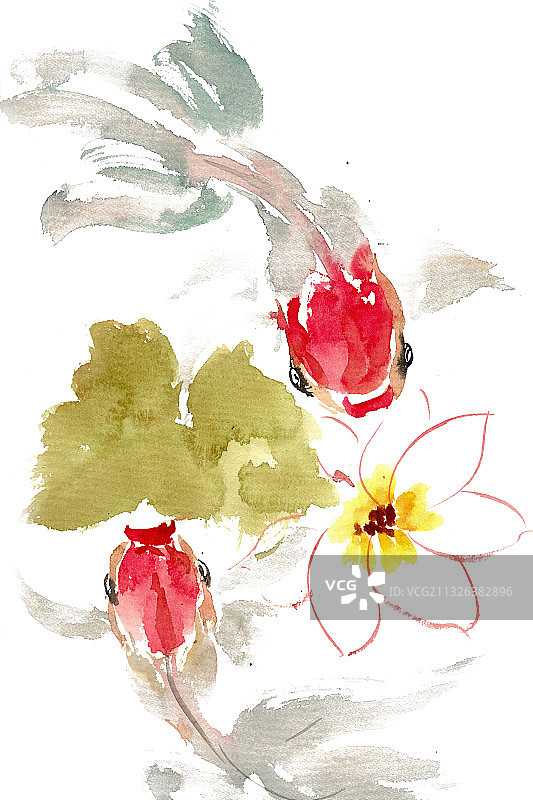 两条游泳的鱼图片素材