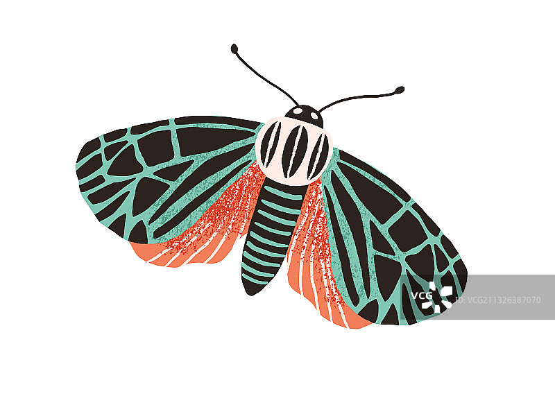 彩色翅膀蝴蝶图片素材