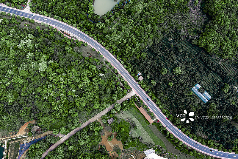 杭州临平区塘栖镇超山风景区图片素材