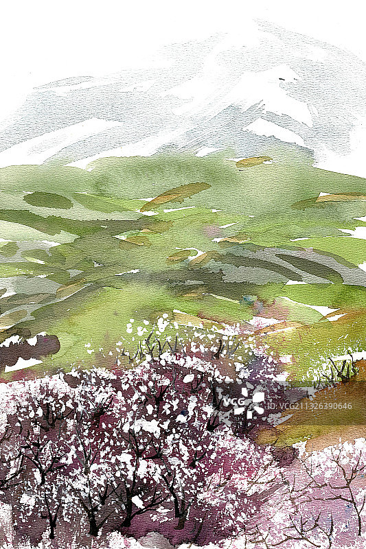 山谷中的春天图片素材