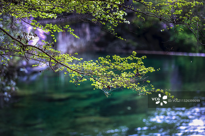 情人谷图片素材