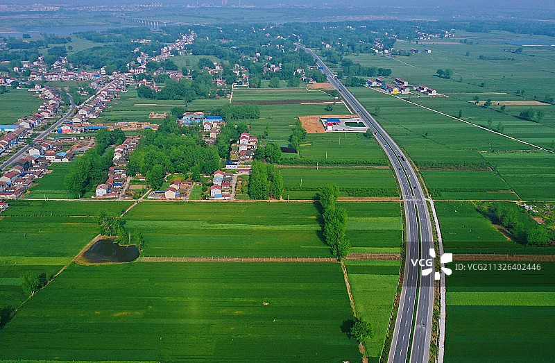 国道春意浓图片素材