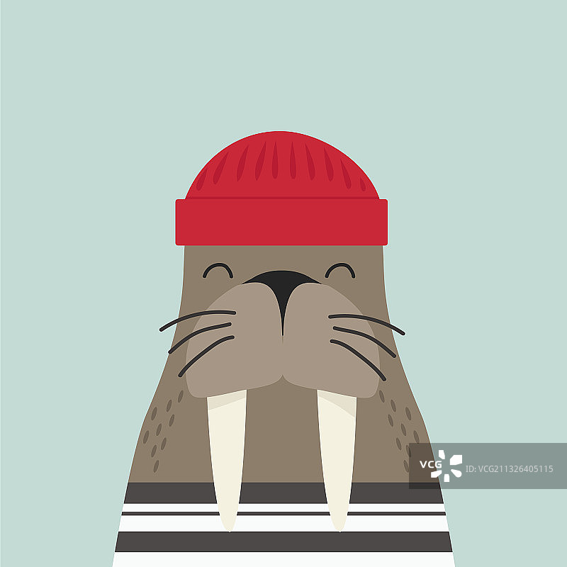 戴着红色帽子的可爱海象水手服图片素材