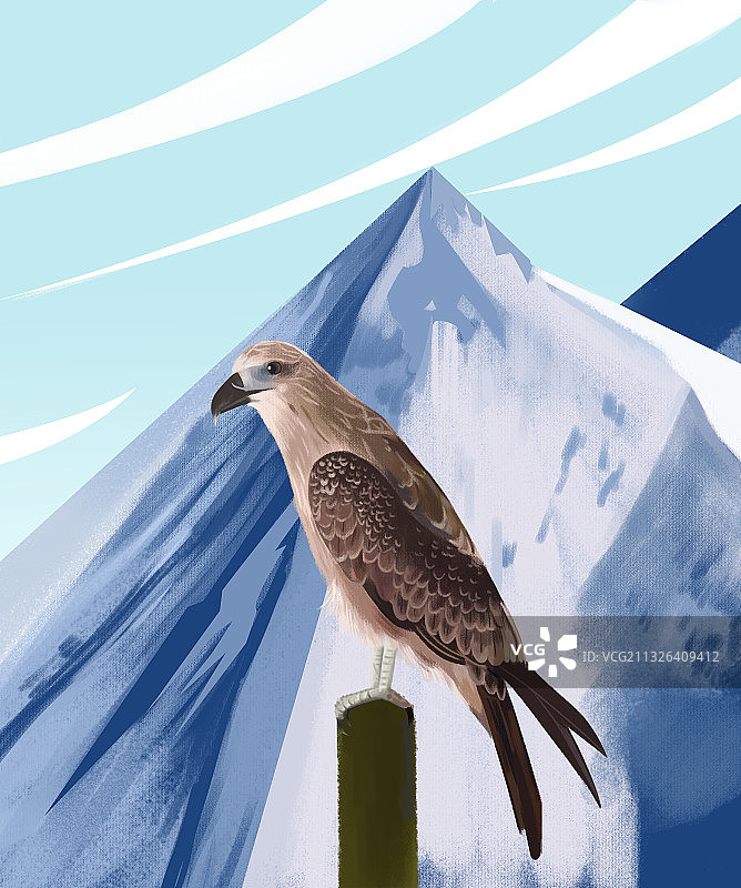 野生动物扁平风老鹰插画图片素材