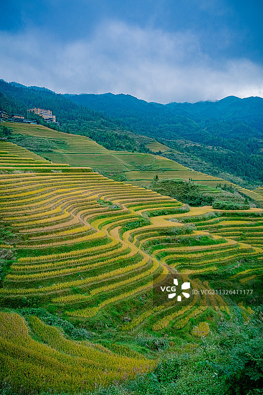 桂林平安梯田图片素材