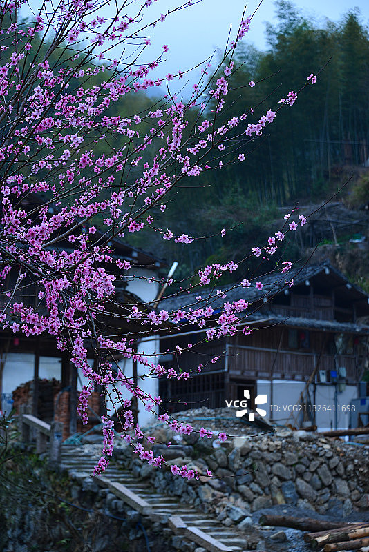 古村春色图片素材